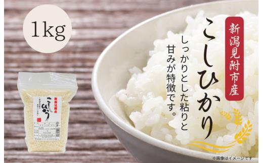 令和7年産 新潟見附市産コシヒカリ1kg