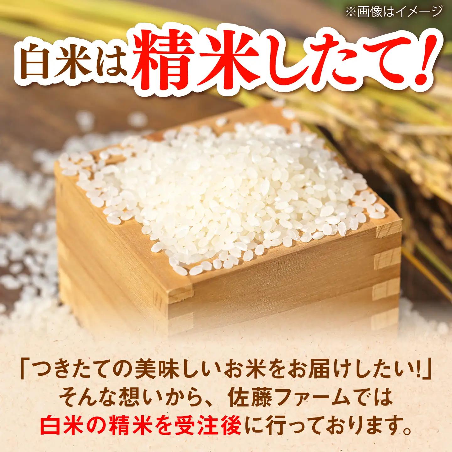【有機JAS認証】有機栽培米きぬむすめ 5kg 令和7年産 精米 白米 島根県雲南市/佐藤ファーム[AIEO002]