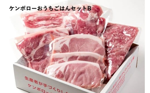 おうちごはんセットB（ステーキ２種、スライス肉、豚ミンチセット） 【002_1973】