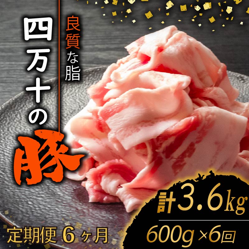 【ふるさと納税】 【定期便6回】四万十ポークスライス 計3.6kg（600g×6ヶ月連続お届け) Zコース | 豚肉 豚バラ肉 小分け 小間切れ スライス 切り落とし 冷凍 真空パック 簡単調理 細切れ 大容量 肉 高知県 須崎市 ふるさと納税豚肉定期便 TM28000