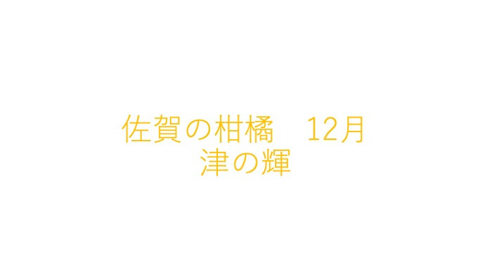 
佐賀の柑橘　12月　津の輝
