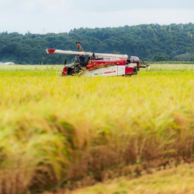 ふるさと納税 大石田町 新米 米 玄米 ひとめぼれ 30kg 令和7年産 2025年産 山形県産 |  | 01