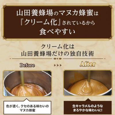 ふるさと納税 津山市 【毎月定期便】マヌカ蜂蜜(クリームタイプ)MG250+(22178)全3回 |  | 01
