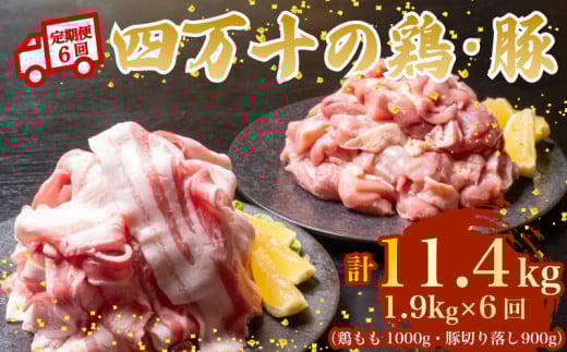 【6ヶ月連続】四万十ブランド 鶏肉1kg 豚肉900g（計1.9kg×6回) 11.4kg 6回定期便 6Fコース｜ 四万十ポークスライス 四万十ポーク 豚バラ肉 小分け 小間切れ スライス 切り落とし 冷凍 真空パック 細切れ 切身 カット 一口大 カット済み  四万十鶏 鳥肉 とりにく 鶏もも 国産 ブランド 唐揚げ 煮物 鍋 チキン 高知県 須崎市 TM138000