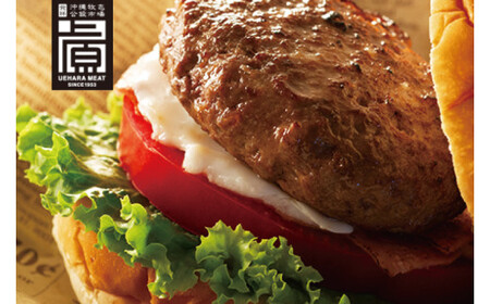 石垣牛ハンバーグセット(8個入)｜肉 お肉 にく 牛肉 ハンバーグ 石垣牛  沖縄 沖縄県 豊見城市 送料無料 人気（AG031）