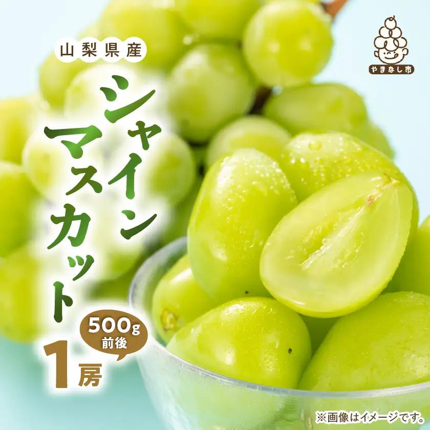 2027年発送先行受付 シャインマスカット1房(500g前後 ふるさと納税)【配送不可地域：離島・沖縄県】【1280518】