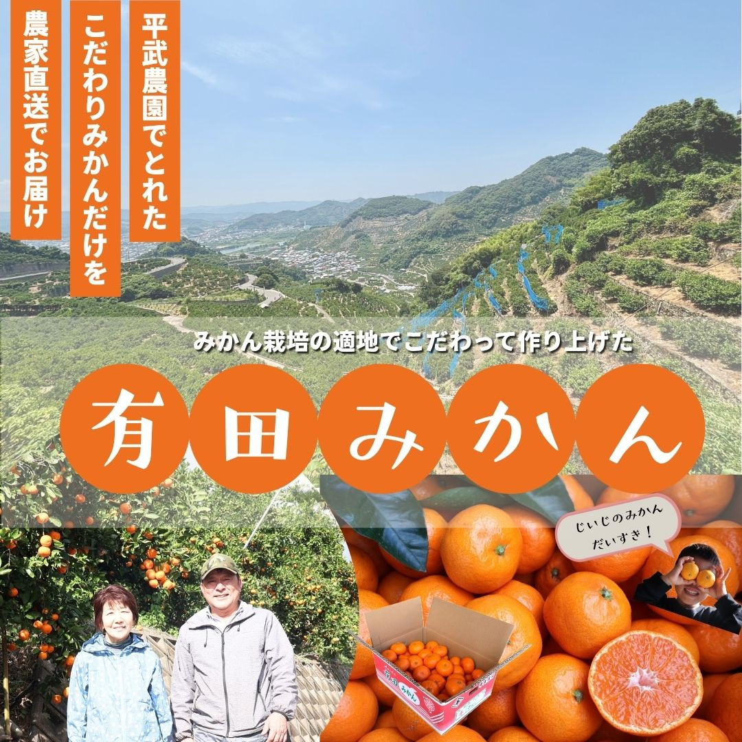 農家直送！有田みかん（2kg 訳あり≪サイズ混合≫） 平武農園　～蛍飛ぶ町から旬の便り～