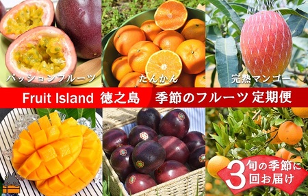 《限定受付》フルーツアイランド徳之島 季節のフルーツ定期便 ( 3回お届け 完熟マンゴー マンゴー パッションフルーツ たんかん 柑橘 果物 徳之島 奄美 鹿児島 定期便 世界自然遺産 旬 )