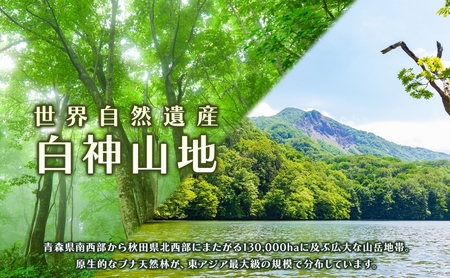 アオーネ白神十二湖　ペア宿泊券（1泊2食付）十二湖トレッキング体験付き