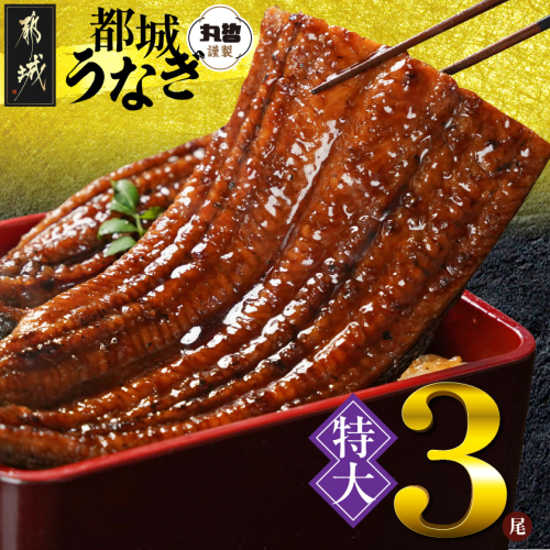 宮崎県育ちの【特大】うなぎ蒲焼3尾680g以上≪山椒・たれ付≫〔26-M3-006-3〕