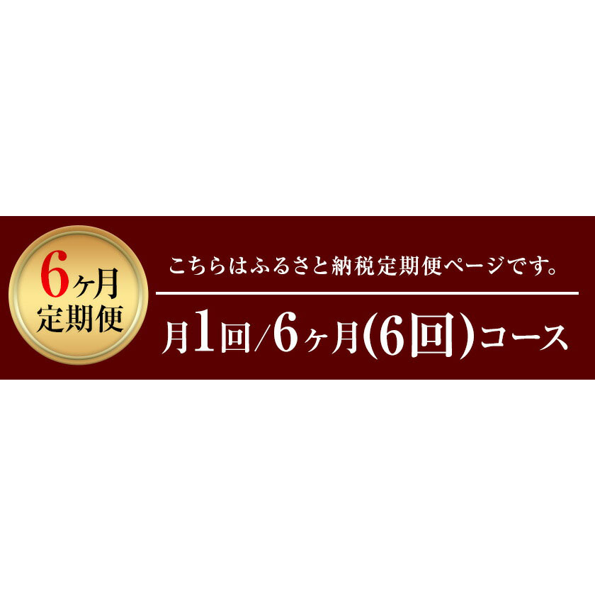 【6ヶ月定期便】熊本県産 あか牛 ハンバーグ 10個 南阿蘇食品 《お申込み月の翌月より発送開始》 定期 計6回お届け 牛肉 肉---sms_fmshbtei_23_76500_mo6num1---