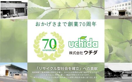 キッチンペーパー（60W×12）エンボス加工 再生紙100％ ティッシュ型 キッチン用品 ペーパータオル