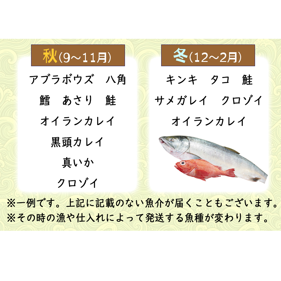 ＜定期便6回＞北海道産 旬の魚介4～5種 お楽しみ定期便_イメージ4