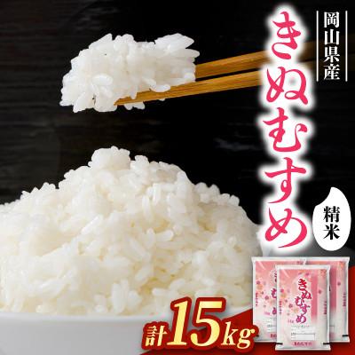 ふるさと納税 岡山市 【食味鑑定士厳選】岡山県産 きぬむすめ15kg(5kg×3袋)