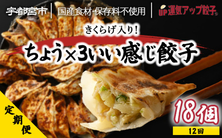 【定期便12回】宇都宮餃子 運気アップ餃子 ちょう×3いい感じ餃子（18個×12回　合計216個）【配送不可地域：離島】