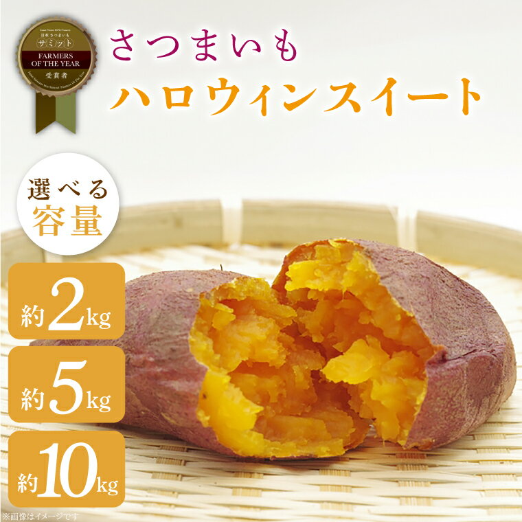 【ふるさと納税】【選べる容量】さつまいも ハロウィンスイート 約2kg・5kg・10kg｜茨城県 行方市 ふるさと納税 芋 いも さつまいも サツマイモ さつま芋 お芋 おいも ハロウィンスイート 渋谷農園 さつまいも博(BZ-47)