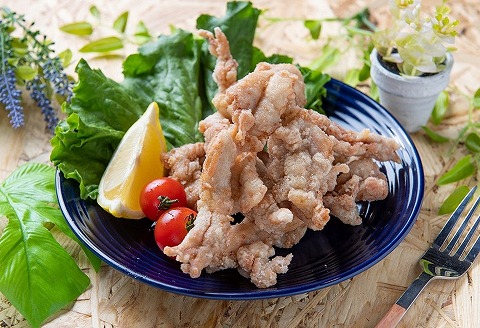 中津からあげ イロトリドリ 彩鶏々 金賞せせり 1kg  家庭調理 中津からあげ 唐揚げ からあげ から揚げ 弁当 おかず お惣菜 おつまみ 大分県 中津市