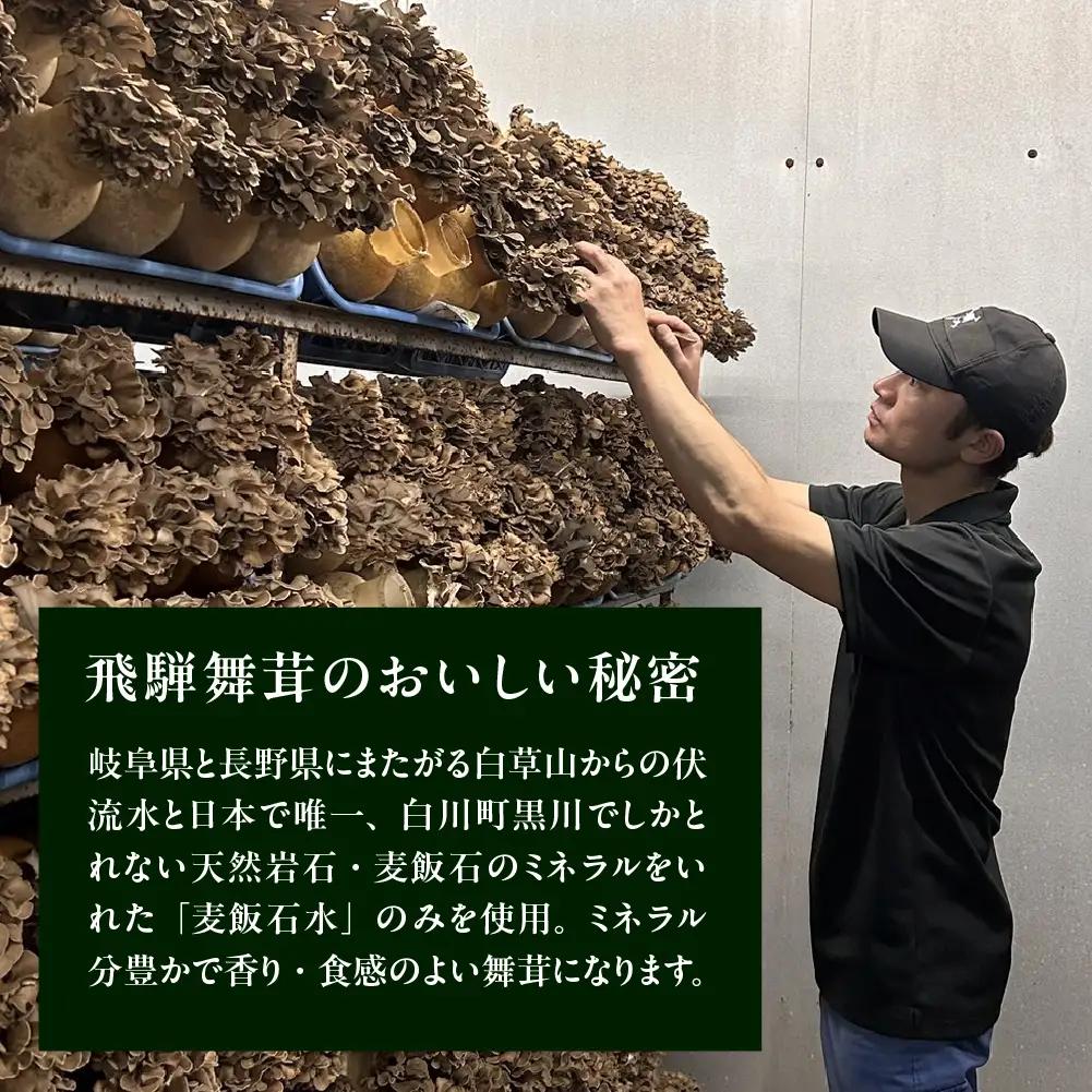 飛騨舞茸と佃煮のセット(飛騨舞茸 600g ・舞茸の佃煮 600g（100g×6袋））【60-1】