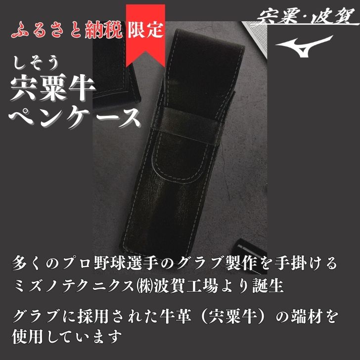 【ふるさと納税】 宍粟牛 ペンケース　【 ペン 筆入れ ミズノテクニクス ミズノ グラブ グローブ 宍粟牛 牛革 限定 ふるさと納税限定 シンプル スマート ビジネス 就職 祝い 贈り物 プレゼント 】AO78