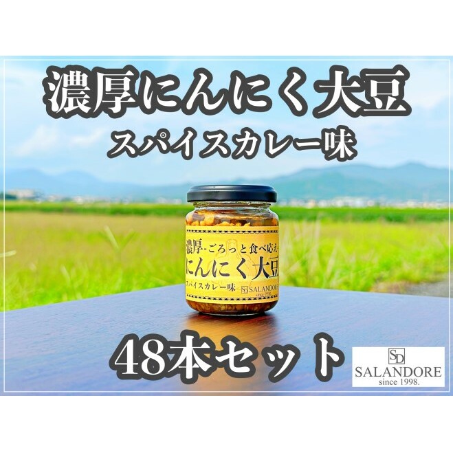 濃厚にんにく大豆_スパイスカレー味_48本セット 加工食品 豆類 大豆ミート 独自製法 高たんぱく 食物繊維 ミネラル ビタミン オリジナルの味付け _イメージ4