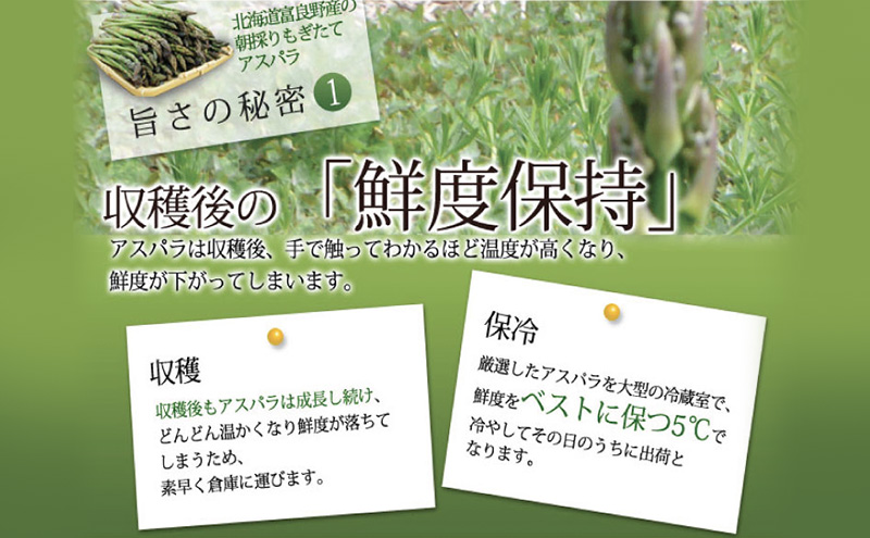 【2027年春発送】極太 グリーンアスパラ 3Lサイズ 1kg (スイー
