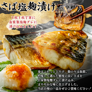 さば塩麹漬け約120g以上×8枚（個包装）　 mi0012-0100