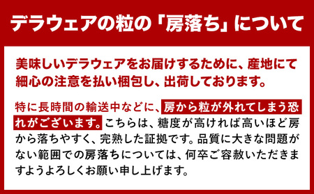 デラウェア ご家庭用デラウェア 約1.5kg