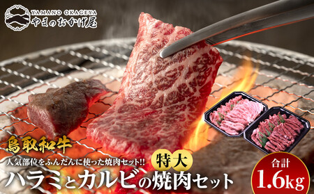 45.鳥取牛ハラミと鳥取 和牛 カルビの特大 焼肉 セット 合計1.6kg  | 焼肉