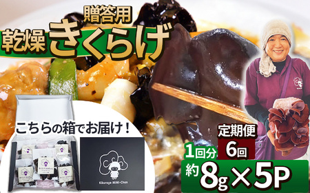 【定期6回】贈答用乾燥きくらげ 8g×5P ともちゃん農園 |定期便 贈答用 乾燥 きくらげ 食物繊維 鉄分 カルシウム ビタミンD カリウム アミノ酸  高血圧予防 ふるさと 納税栃木県 那珂川町