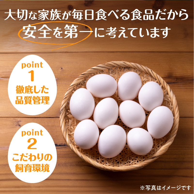【3回定期便】大平原ファームの新鮮でおいしい卵 計40個(白卵)×3ヶ月【 北海道 清水 卵 120個 こだわり卵 卵かけご飯 玉子 タマゴ 卵焼き TKG 温泉卵 オムレツ ゆでたまご 栄養満点  