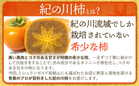 紀の川柿 約4kg 岸武青果株式会社《10月中旬-12月中旬頃出荷》 和歌山県 紀の川市 柿 カキ かき 黒ゴマ蜜柿 果物 フルーツ 送料無料