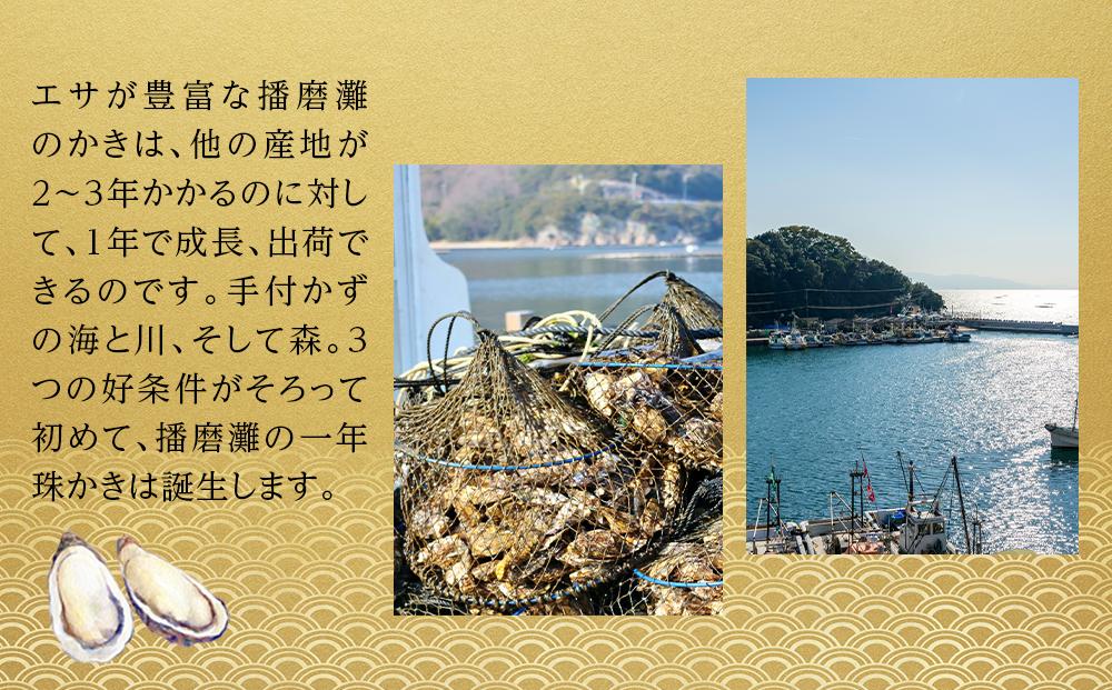 内閣総理大臣賞受賞 蒸しカキ 珠せいろ 大粒1kg（500g×2）