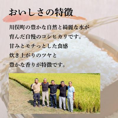 ふるさと納税 川俣町 川俣町産 コシヒカリ 10kg 精米 |  | 01