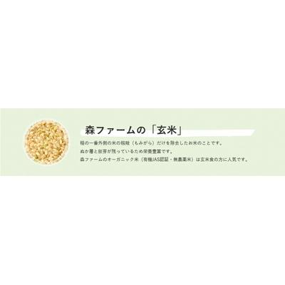 ふるさと納税 古河市 スプリングライス こしひかり・ミルキークィーン ブレンド (玄米)5kg | 米 こめ _BI69 |  | 03