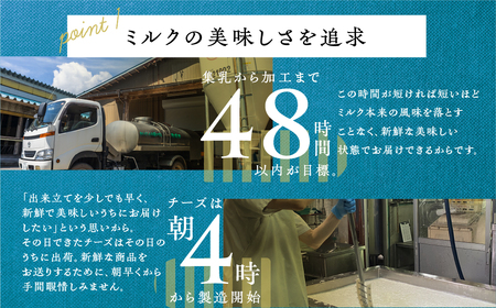 ＜11月発送＞牛乳屋がていねいに作ったフレッシュモッツァレラチーズ1個 生乳100% チーズ  乳製品 チーズ モッツァレラ チーズ フレッシュ チーズ[Q1420x]