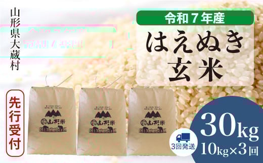 ＜令和7年産米先行受付＞ 大蔵村産 はえぬき 【玄米】 30kg定期便 （10kg×3回発送）＜配送時期選べます＞