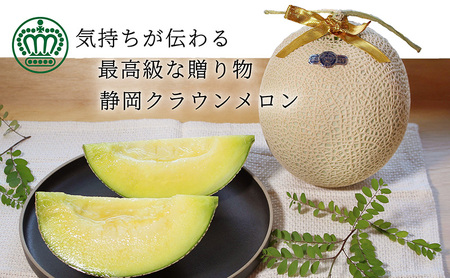 メロン 12ヶ月定期便 中玉 2玉入り 果物 メロン