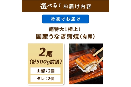 超特大！極上！国産うなぎ蒲焼 2尾 合計500g前後