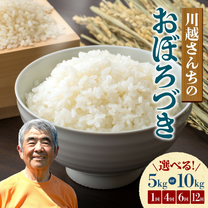 【ふるさと納税】令和7年産 川越さんちのおぼろづき【 選べる！5kg or 10kg / 1回 ・ 4回 ・ 6回 ・ 12回 】 北海道産米 精米 白米 ごはん ブランド 定期便 米 もっちり やわらか おにぎり お弁当 バランスが良い お取り寄せ おにぎりあたためますか 北海道 雨竜町 送料無料