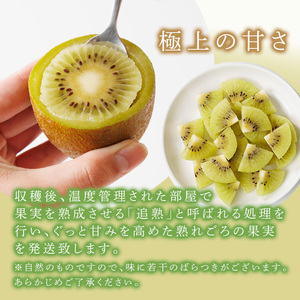 ＜先行予約受付中！2026年11月上旬～11月下旬に順次発送予定＞福岡県ブランド キウイフルーツ 博多 甘うぃ 化粧箱入り (約計1.4kg：大玉9玉) キュウイ あまうぃ フルーツ 果物 くだもの 