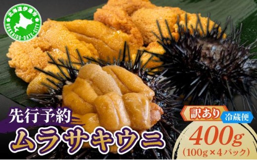 ＜先行予約＞ 北海道産 ムラサキウニ（訳あり）400g【ogm-042】生うに 塩水うに ミョウバン不使用 海鮮 訳あり 国産 北海道 伊達 ふるさと納税