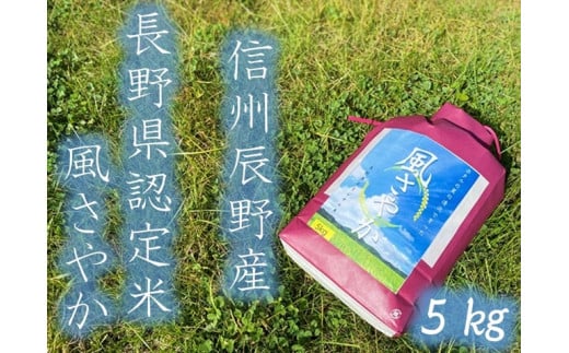 275 風さやか 5kg /根橋ファーム/令和６年産 県 認証米 こだわり 冷めても おいしい お弁当 おにぎり 信州 長野県 辰野町 白米 玄米 精米 減 環境にやさしい農産物