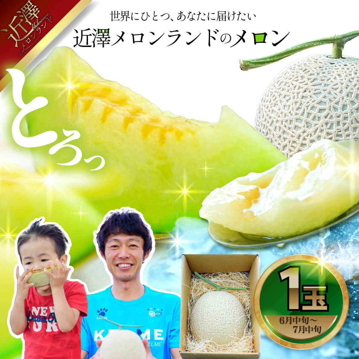 【ふるさと納税】【先行予約】メロン 1玉入（約1.4kg〜1.8kg）青肉 〈2027年6月中旬〜7月中旬頃発送〉 メロン めろん マスクメロン 舐瓜 果物 くだもの フルーツ デザート 旬 ハウス栽培【株式会社とさもん】[BQAE026]