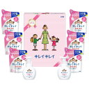 【ふるさと納税】キレイキレイギフトセット E ( 薬用泡ハンドソープ 250ml × 2 & 詰替用 200ml × 6 ） | 香川県 坂出市 キレイキレイ 泡 ギフト ハンドソープ 泡ハンドソープ 手洗いせっけん ハンドウォッシュ ホイップソープ セット 日用品 ギフトセット 石鹸 石けん