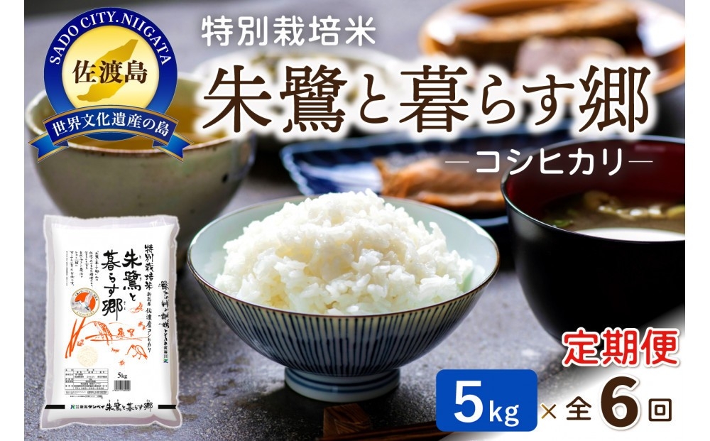 
                  【6か月定期便】佐渡産コシヒカリ「朱鷺と暮らす郷」精米5kg×毎月 合計30kg | 新潟県産コシヒカリ 新潟産コシヒカリ 佐渡産コシヒカリ 新潟県産こしひかり 佐渡産こしひかり 朱鷺と暮らす郷 トキ 朱鷺 お米 米 こしひかり 白米 精米 ブランド米 おこめ コメ 5キロ にいがた さど 新潟県 佐渡市
                