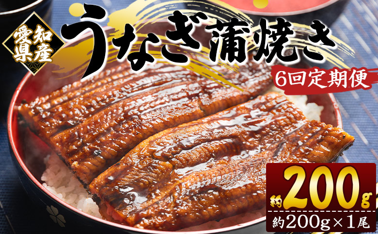 【６回定期便】国産養殖うなぎ蒲焼き 約200g×1尾(愛知県産鰻) うなぎ 魚介 国産 海鮮 魚 かばやき 鰻 ウナギ 惣菜 おかず お手軽 加工品 加工食品 冷凍 Wfb-0071