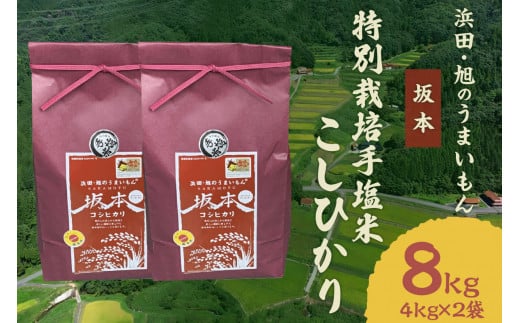 【令和6年産】浜田・旭のうまいもん「坂本」特別栽培手塩米こしひかり4kg×2袋  米 お米 こしひかり 特別栽培米 定期 定期便 3回 精米 白米 ごはん 新生活 応援 準備 お取り寄せ 特産 【1035】