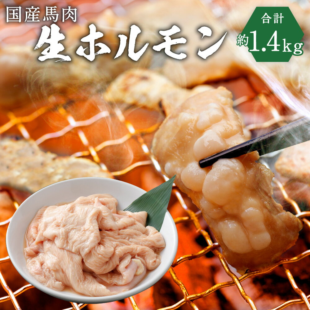 【ふるさと納税】国産馬肉 生ホルモン 約1.4kg 焼肉・煮込み用 国産 九州産 熊本産 ホルモン 馬肉 大腸 冷凍 送料無料