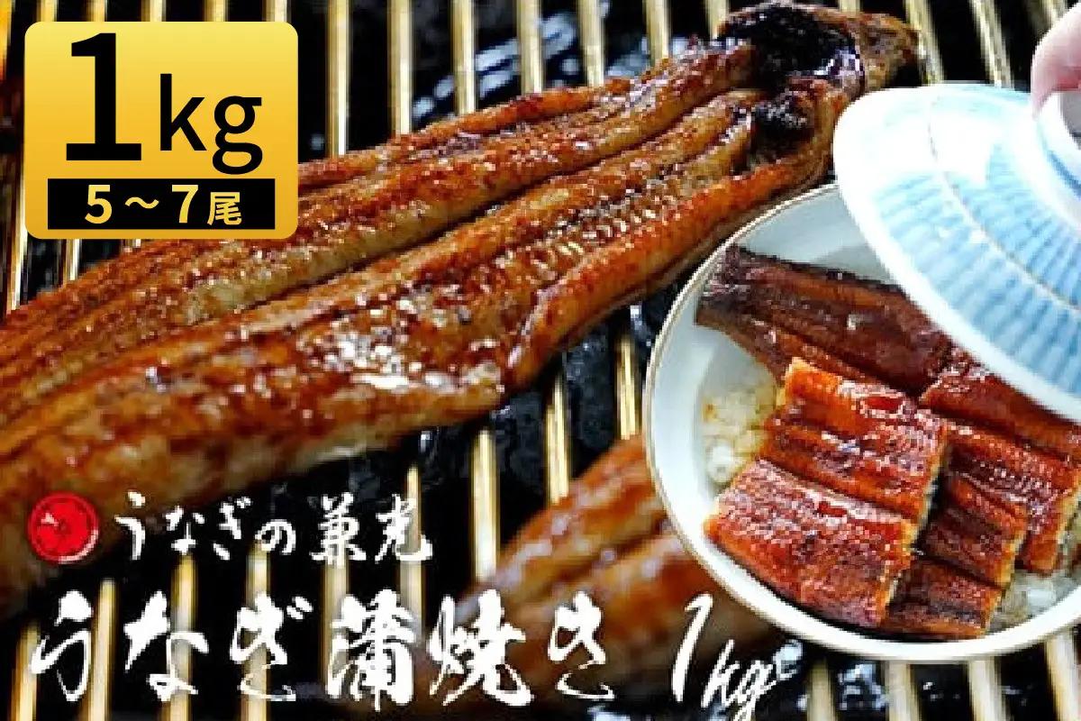 大満足1kg！三河一色産 うなぎ蒲焼き（5尾～7尾） 国産 鰻 蒲焼 愛知・U040-340