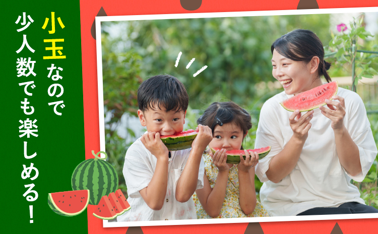 小玉スイカ 2玉【養生市場】 ひとりじめ 果物 フルーツ スイカ 西瓜 九州産 熊本県産 送料無料《2026年4月中旬-5月中旬頃出荷予定》【先行予約】